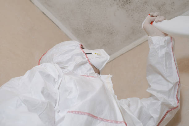 Best Mold Remediation for Healthcare Facilities  in Salamatof, AK