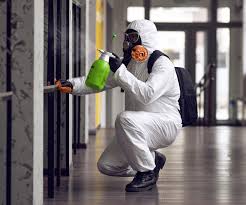 Best Commercial Mold Inspection  in Salamatof, AK